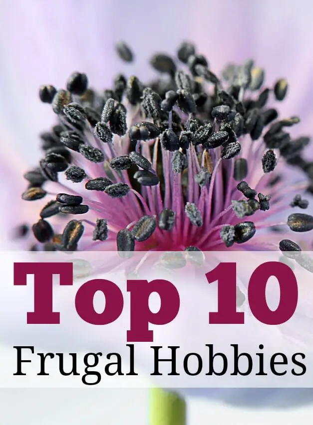 10 Affordable and Enjoyable Hobbies for Frugal Living