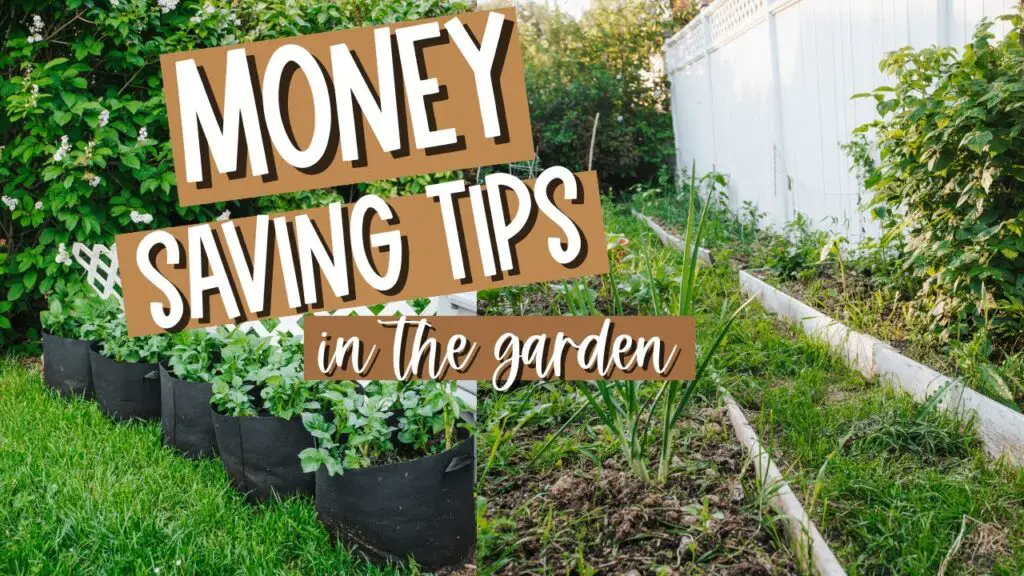 10 Frugal Gardening Tips to Help You Save Money Cost-Effective Soil Preparation