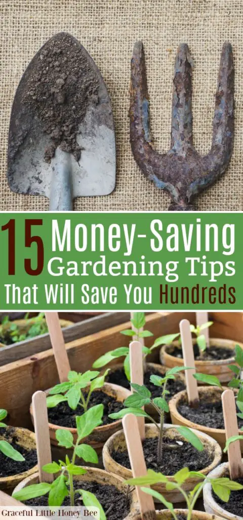 10 Frugal Gardening Tips to Help You Save Money Frugal Seed and Plant Sourcing