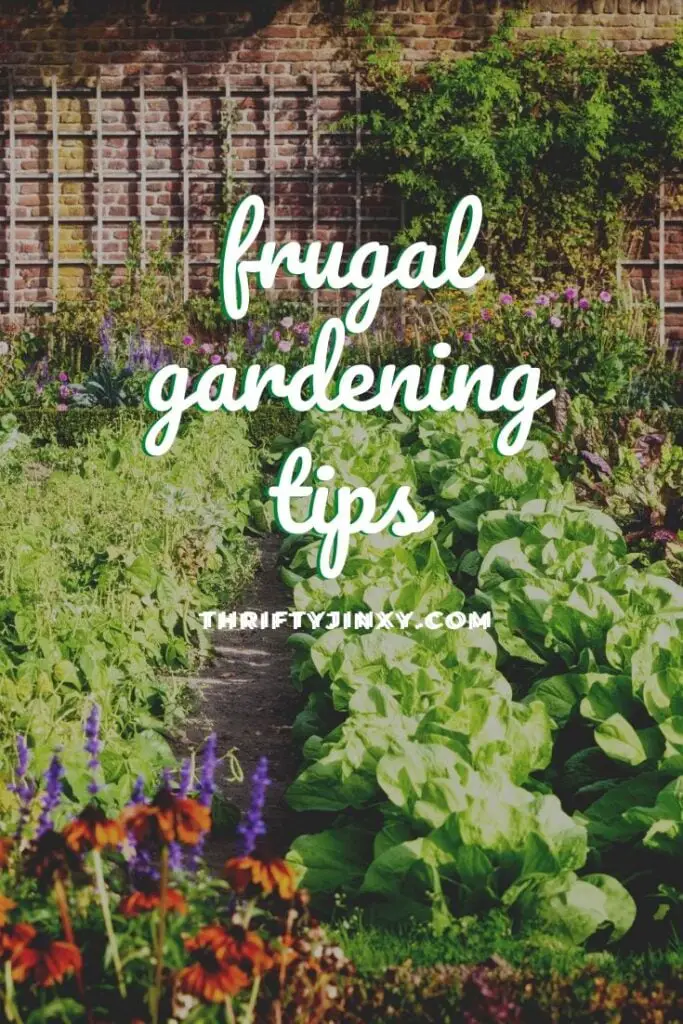 10 Frugal Gardening Tips to Help You Save Money Introduction