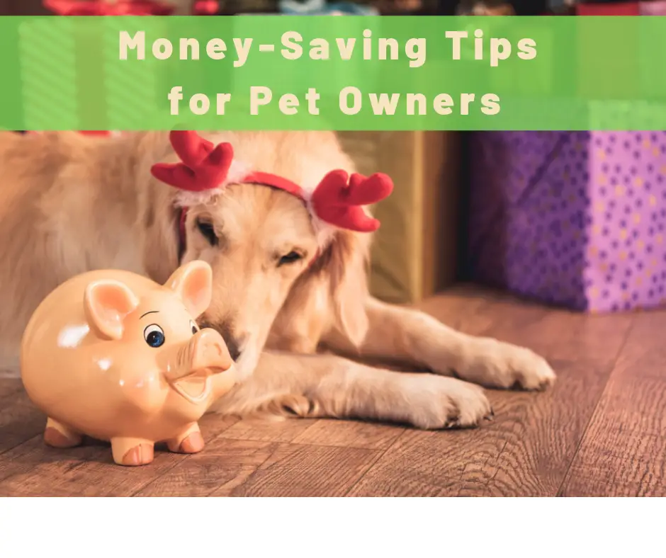 10 Tips for Saving Money on Pet Care