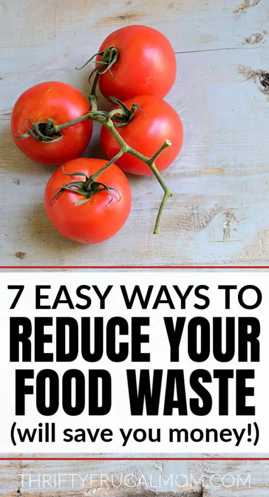 Frugal Food Tips: How to Reduce Food Waste and Save Money Sustainable Grocery Shopping