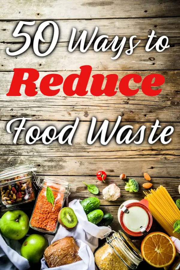 Frugal Food Tips: How to Reduce Food Waste and Save Money Understanding Food Waste