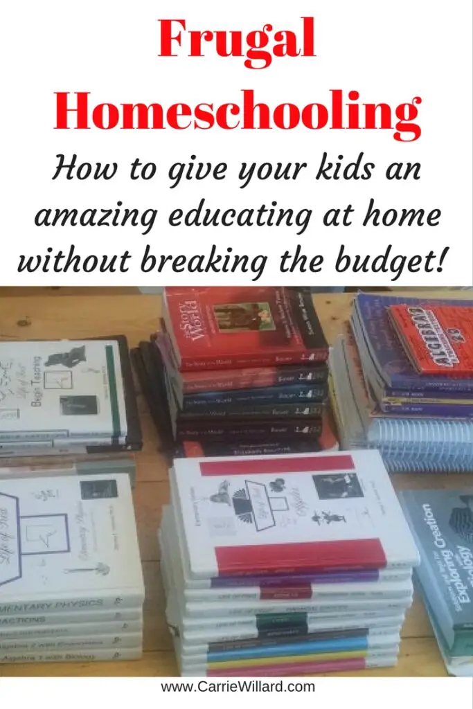 Frugal Homeschooling: Teaching Your Kids on a Budget Navigating Field Trips on a Budget