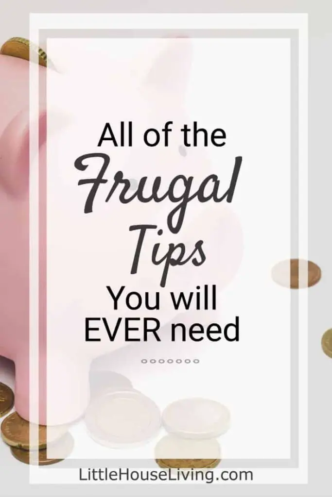 Frugal Living: Tips and Tricks for a Budget-Friendly Lifestyle Frugal Shopping Strategies