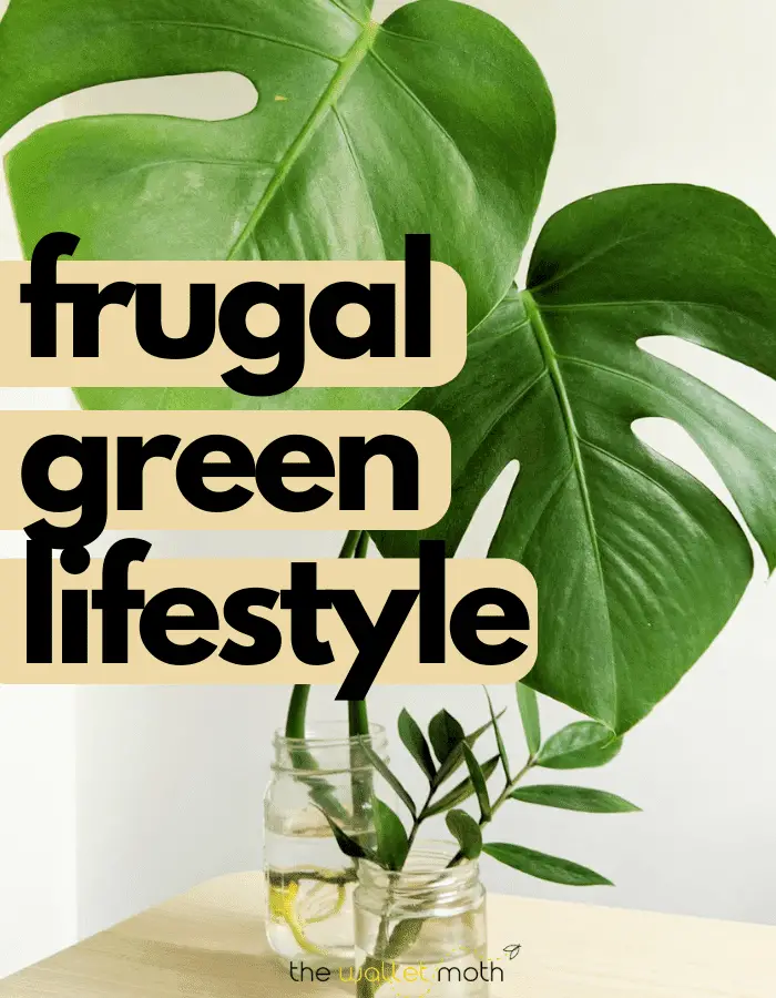 Green Living: How to Live Frugally and Sustainably