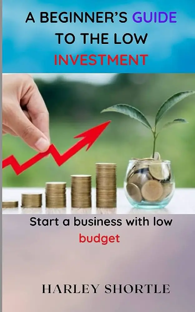 Investing on a Budget: A Beginners Guide