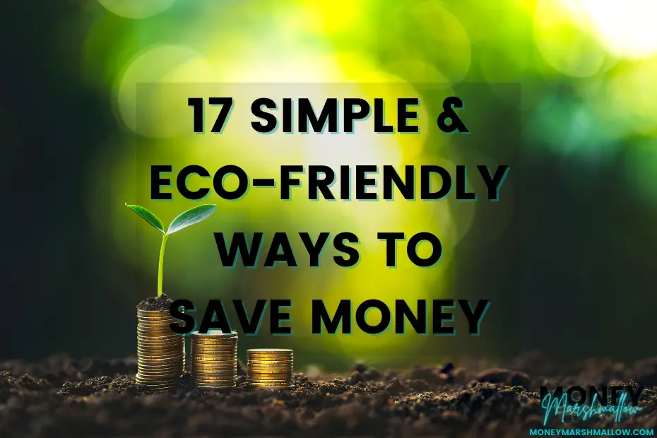 Simple and Cost-effective Eco-Friendly Tips for Saving Money