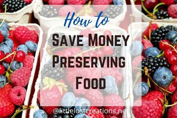 The Art of Freezing and Preserving Food to Save Money