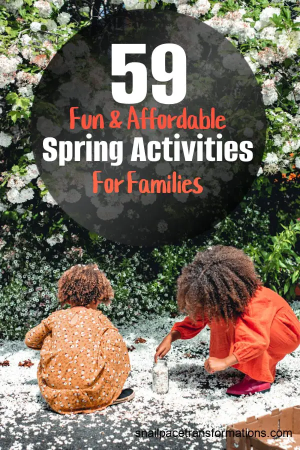 Fun and Affordable Activities for Families