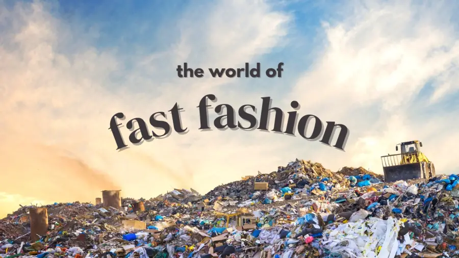 How Fast Fashion Is Emptying Our Wallets