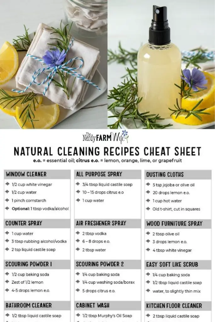 10 Easy Recipes for Natural and Affordable Cleaning Products