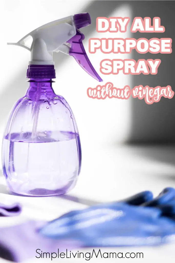 10 Frugal DIY Cleaning Solutions for a Sparkling Home